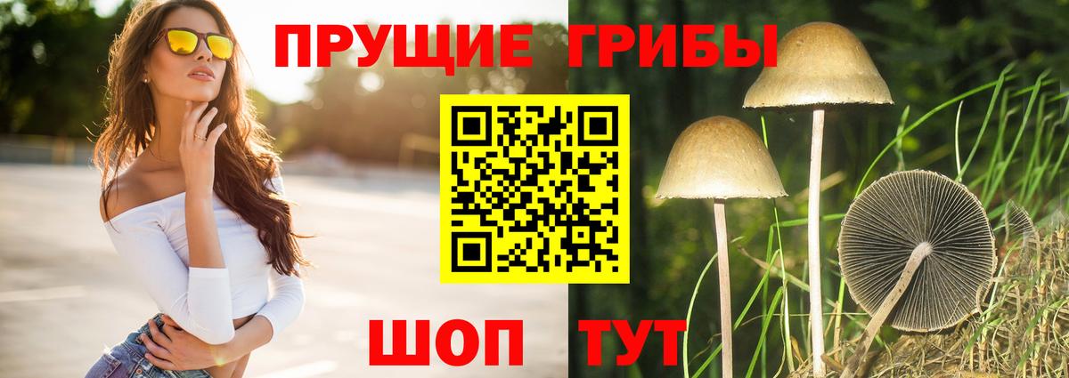 Псилоцибиновые грибы MAGIC MUSHROOMS  Вход с VPN  Южноуральск 